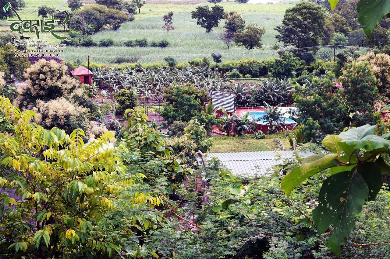 Deorai Farms And Agro Resort Pune Exterior photo